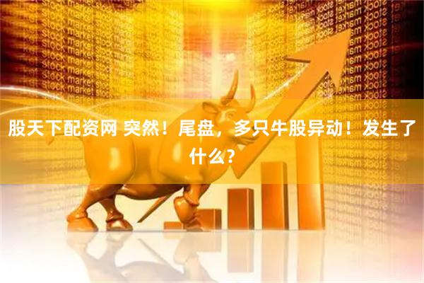 股天下配资网 突然！尾盘，多只牛股异动！发生了什么？
