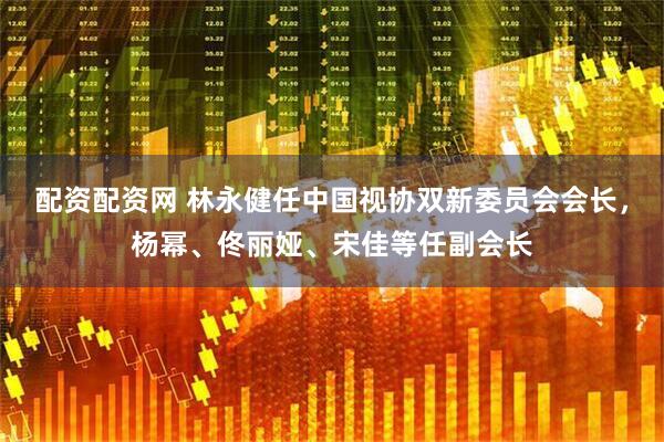 配资配资网 林永健任中国视协双新委员会会长，杨幂、佟丽娅、宋佳等任副会长
